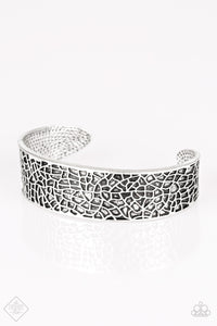 nature-mode-silver-bracelet-paparazzi-accessories