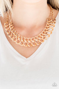 street-meet-and-greet-gold-necklace-paparazzi-accessories