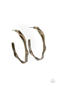 coveted-curves-brass-earrings-paparazzi-accessories