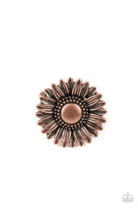 farmstead-fashion-copper-ring-paparazzi-accessories