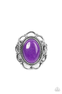 gemstone-eden-purple-ring-paparazzi-accessories
