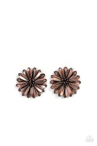 daisy-dilemma-copper-post earrings-paparazzi-accessories